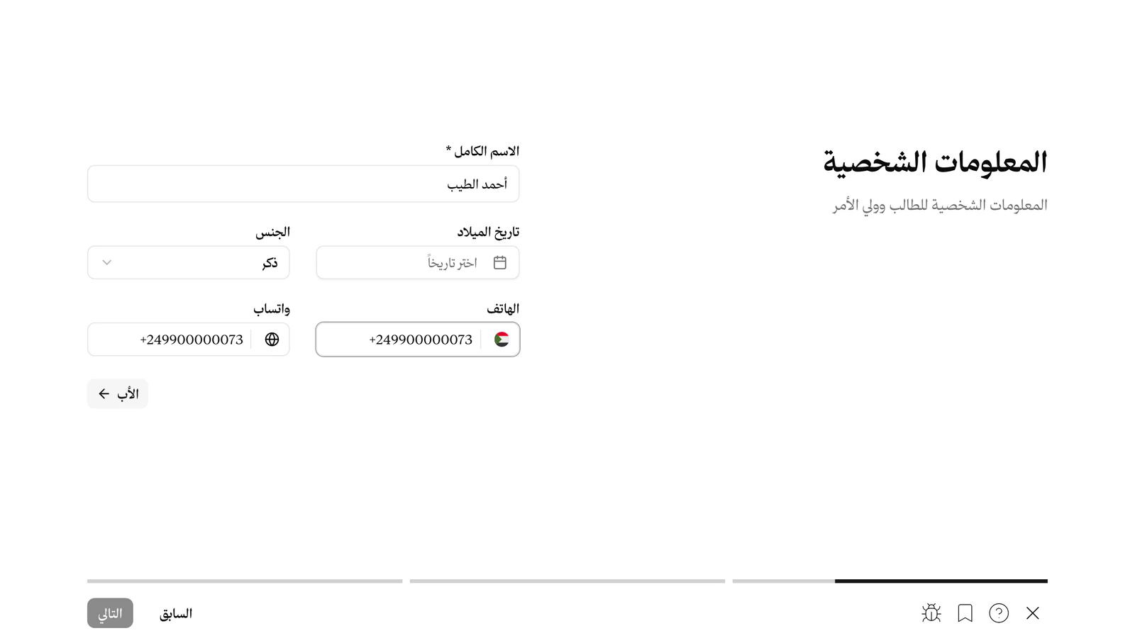 البيانات الشخصية بعد التعبئة