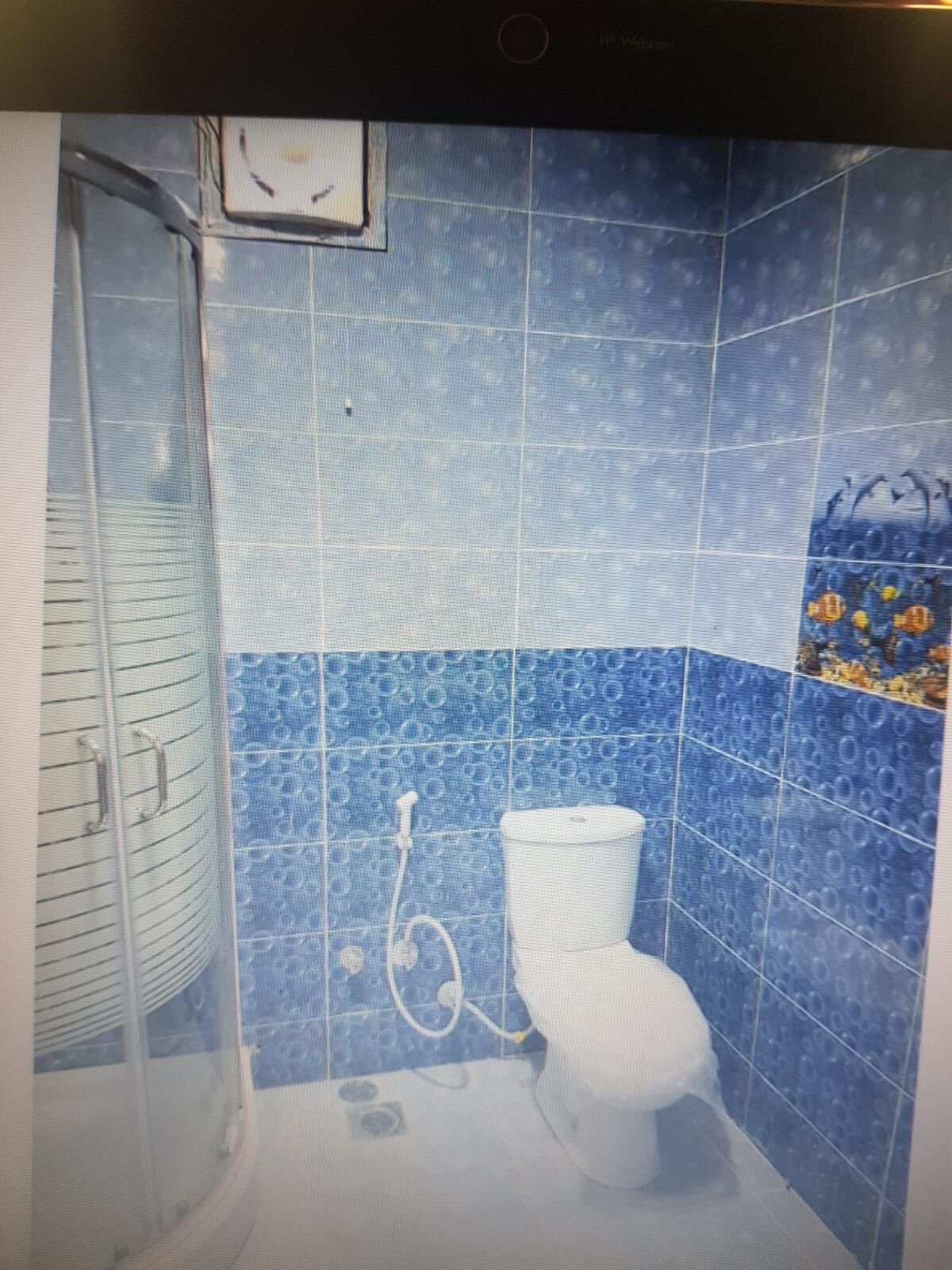 صورة العقار 8