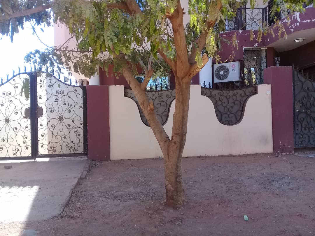 صورة العقار 15