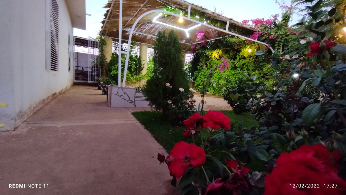 صورة العقار 8