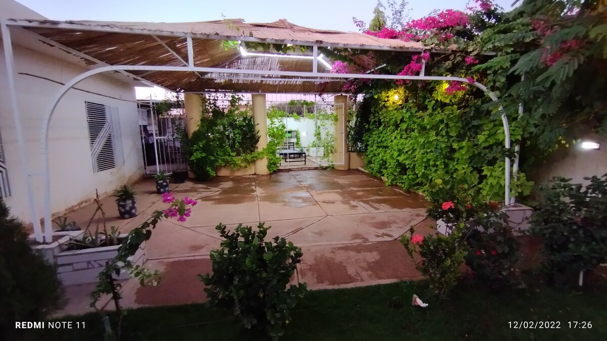 صورة العقار 11