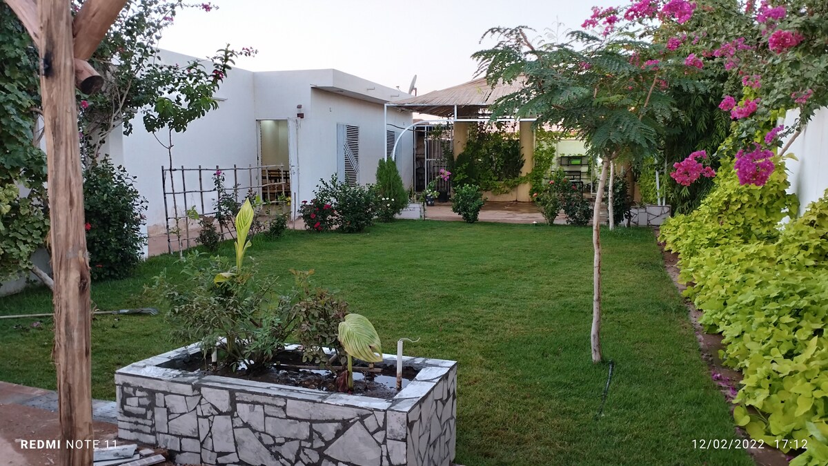 صورة العقار 3