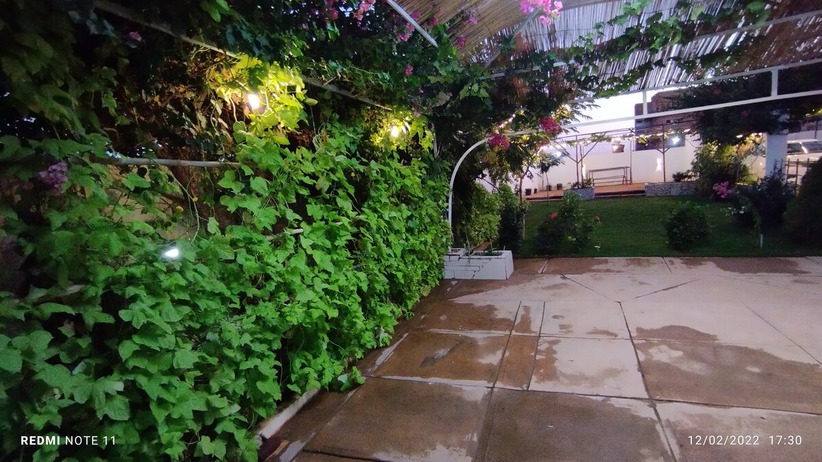 صورة العقار 6