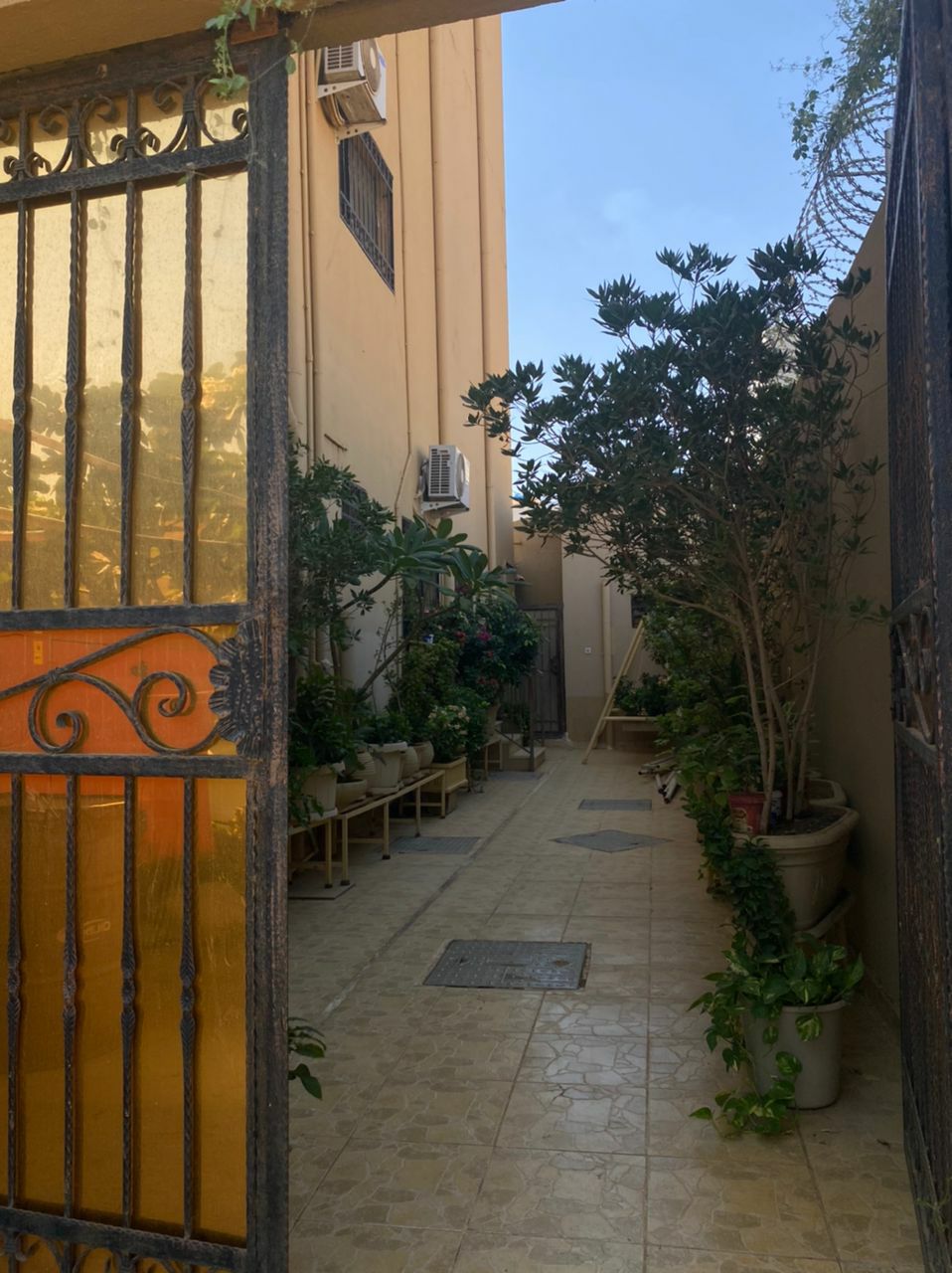 صورة العقار 6