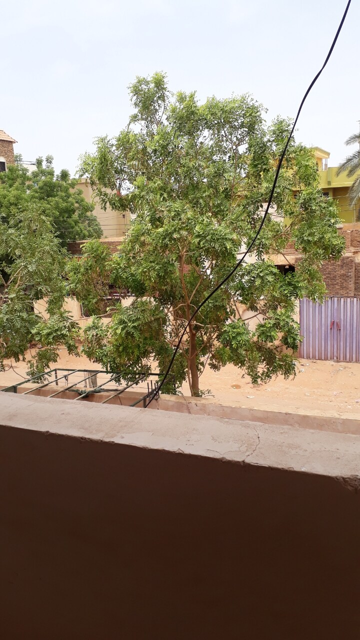 صورة العقار 15